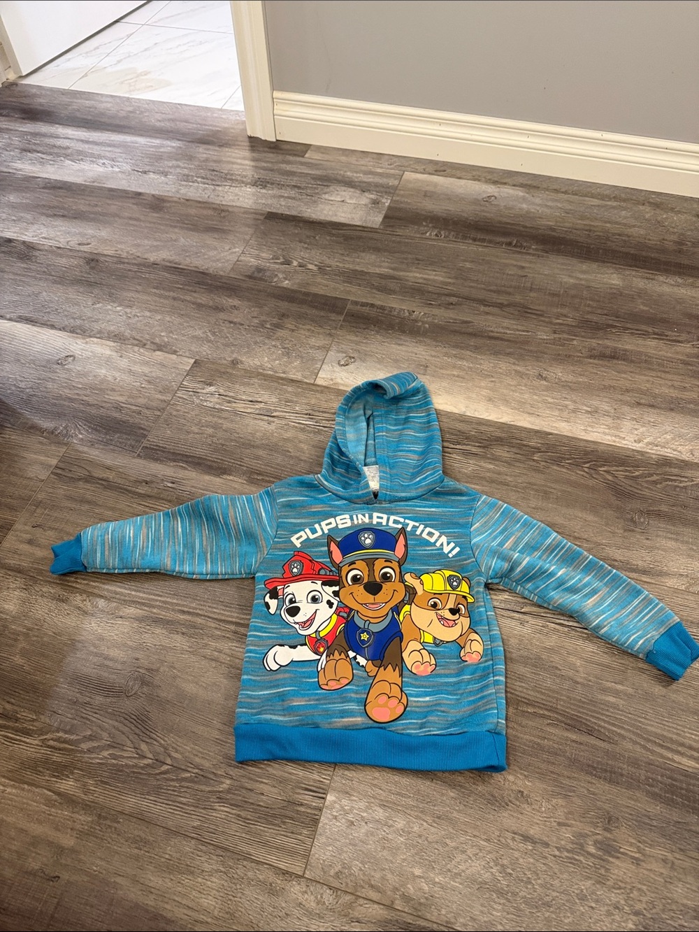 Nickelodeon Paw Patrol Teal & Blue Kids Hoodie with Pups Graphic